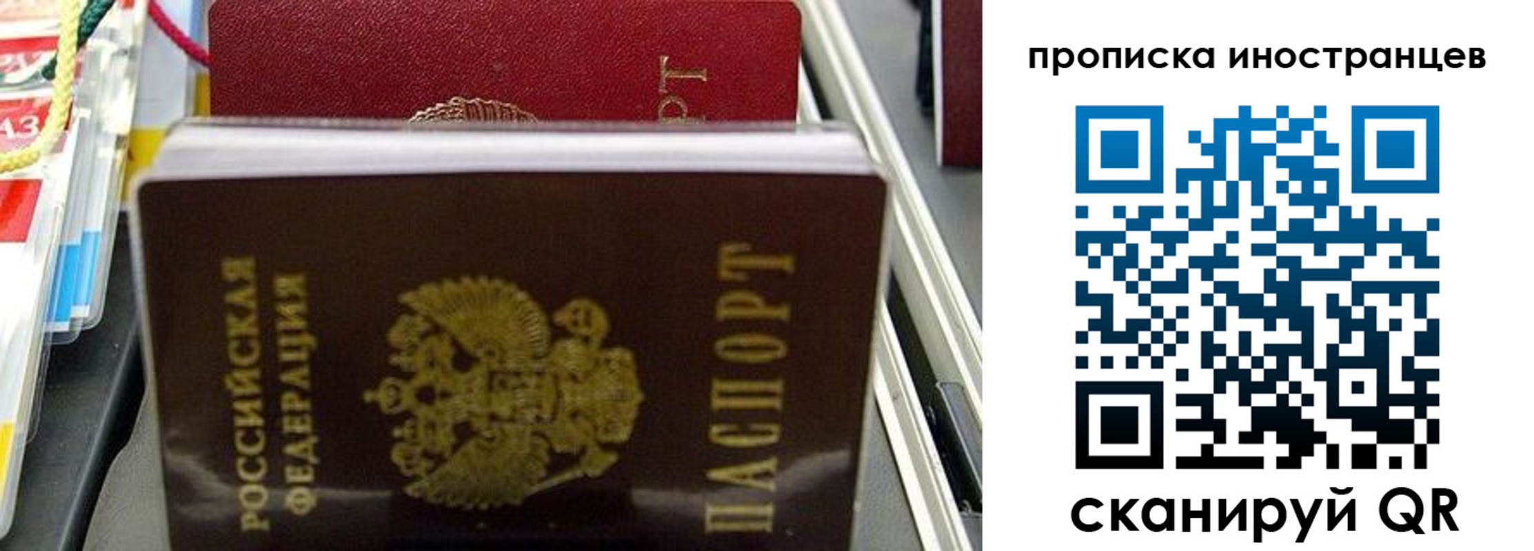 прописка для школы в Павловске