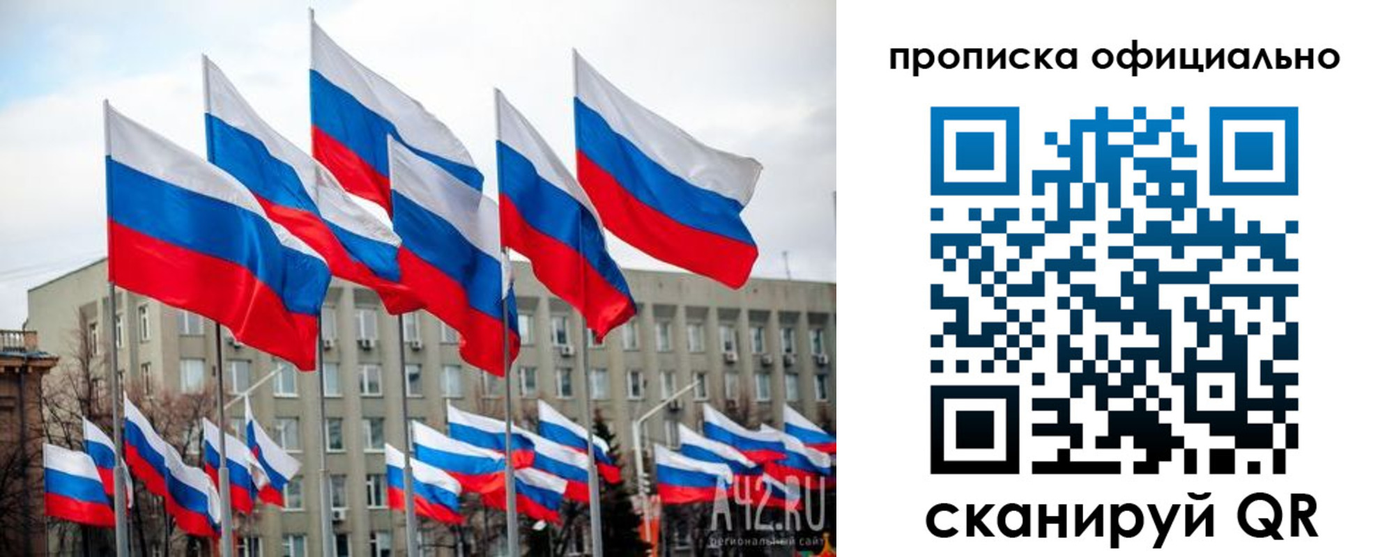 прописка поиск в Павловске